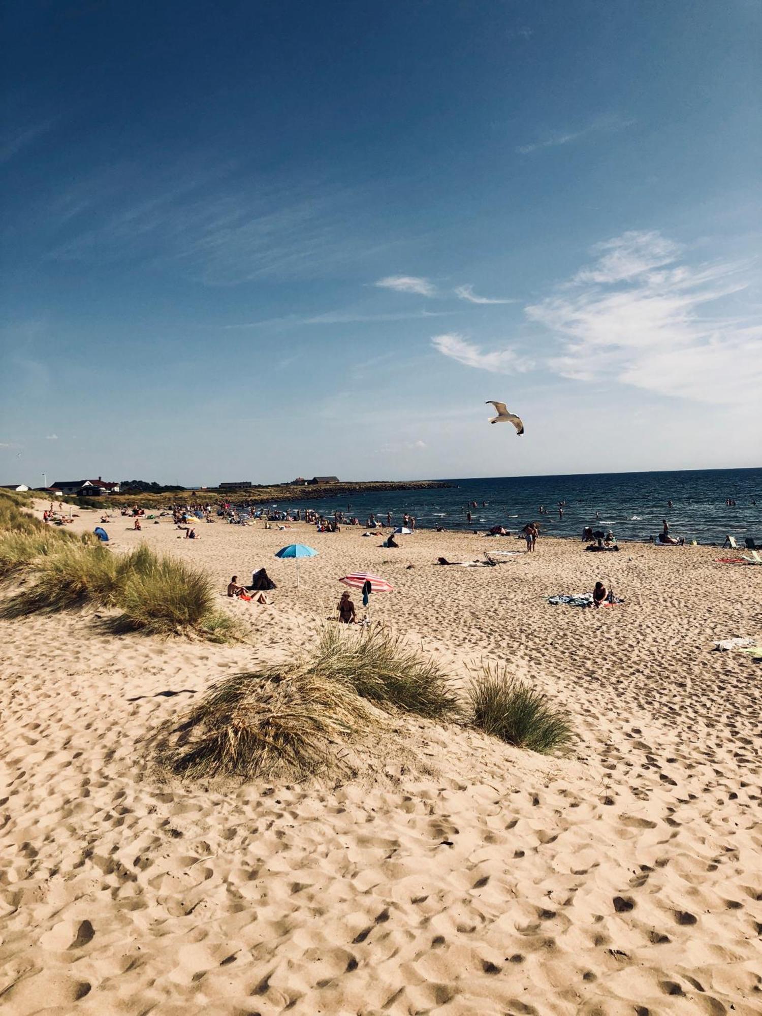 Flipflop Beach Bar & Rooms Falkenberg Exterior foto